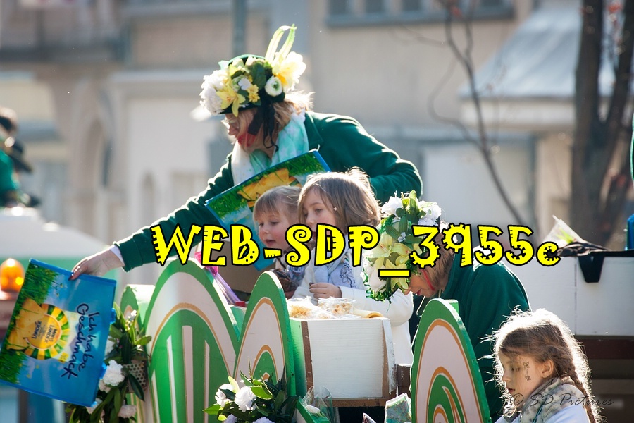 WEB SDP 3955c
