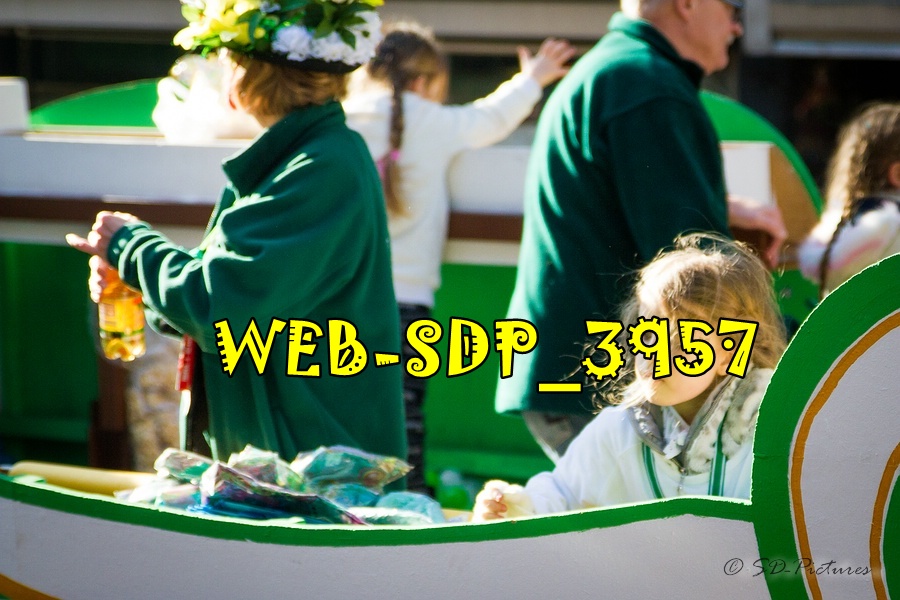 WEB SDP 3957