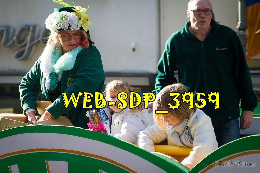 WEB SDP 3959