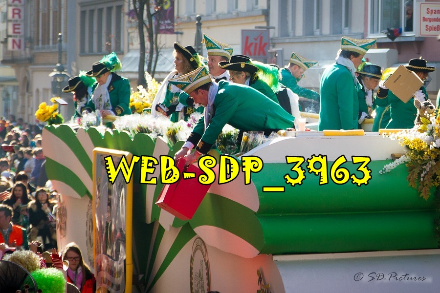 WEB SDP 3963
