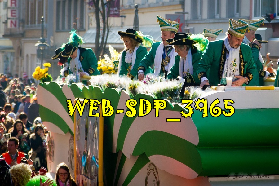 WEB SDP 3965