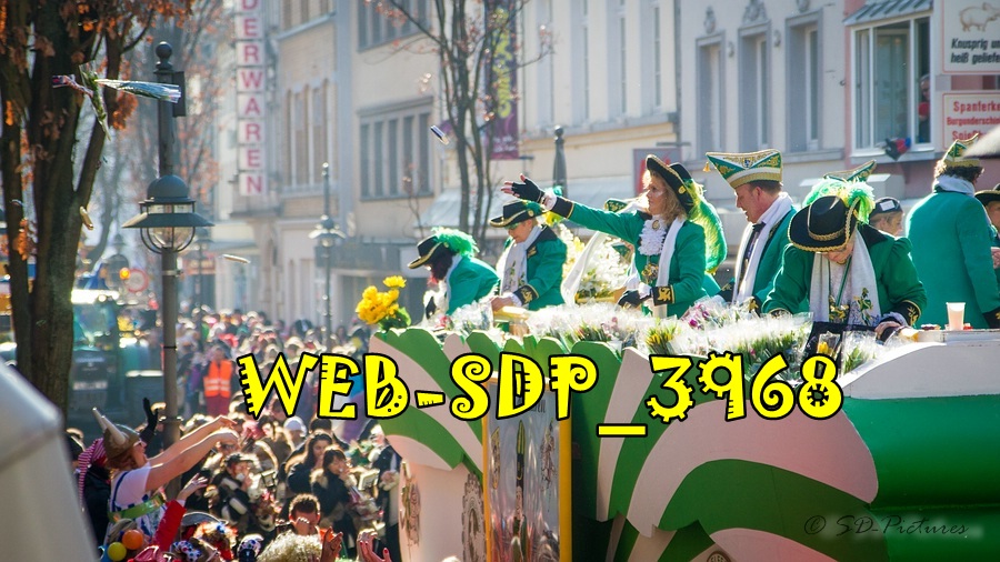 WEB SDP 3968