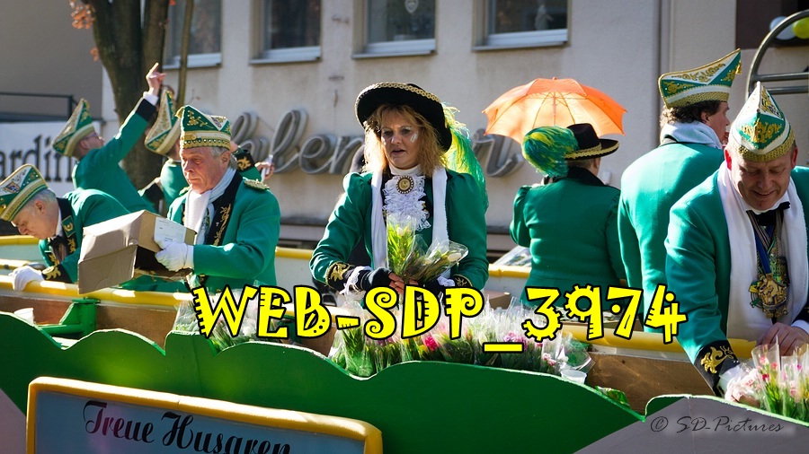 WEB SDP 3974