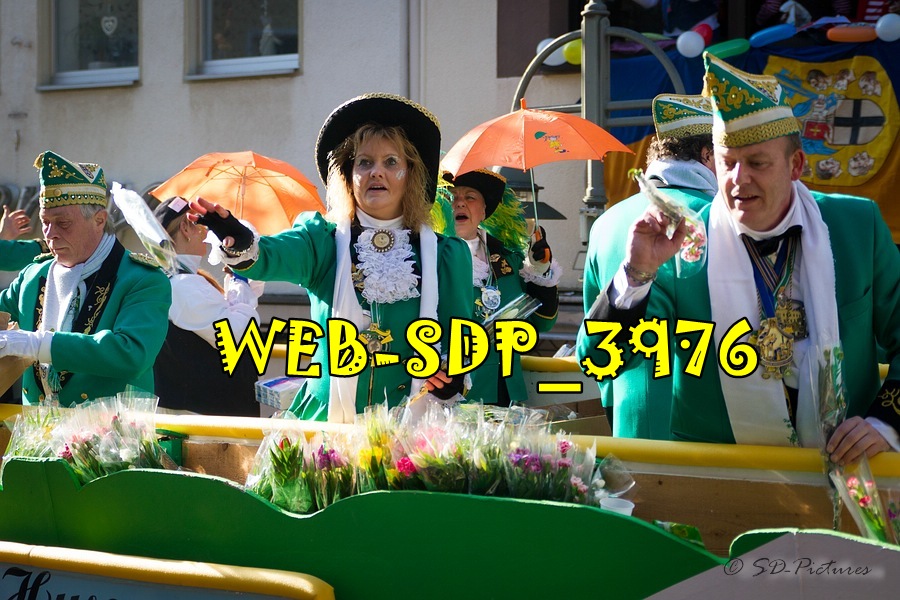 WEB SDP 3976