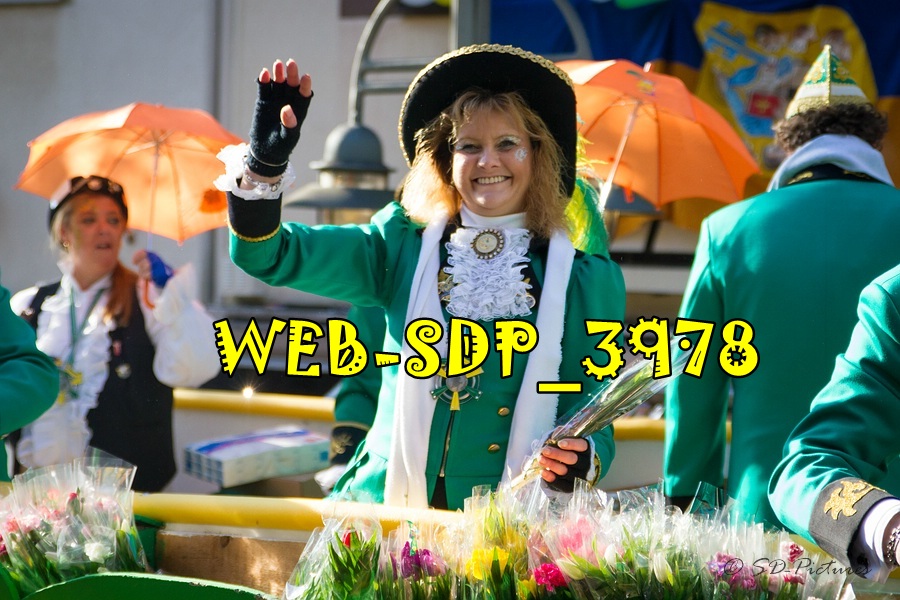 WEB SDP 3978
