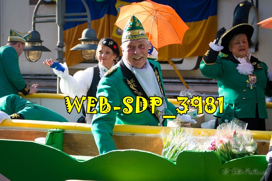 WEB SDP 3981