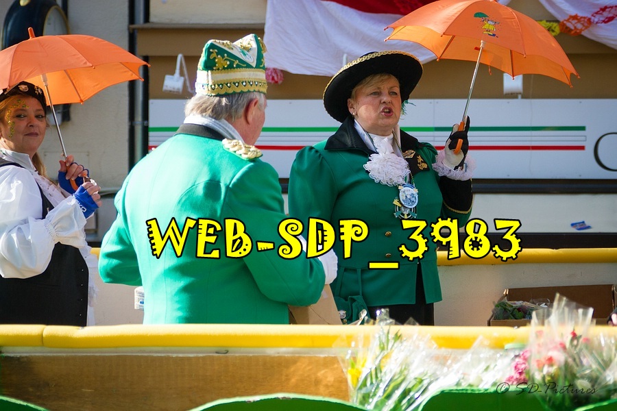 WEB SDP 3983