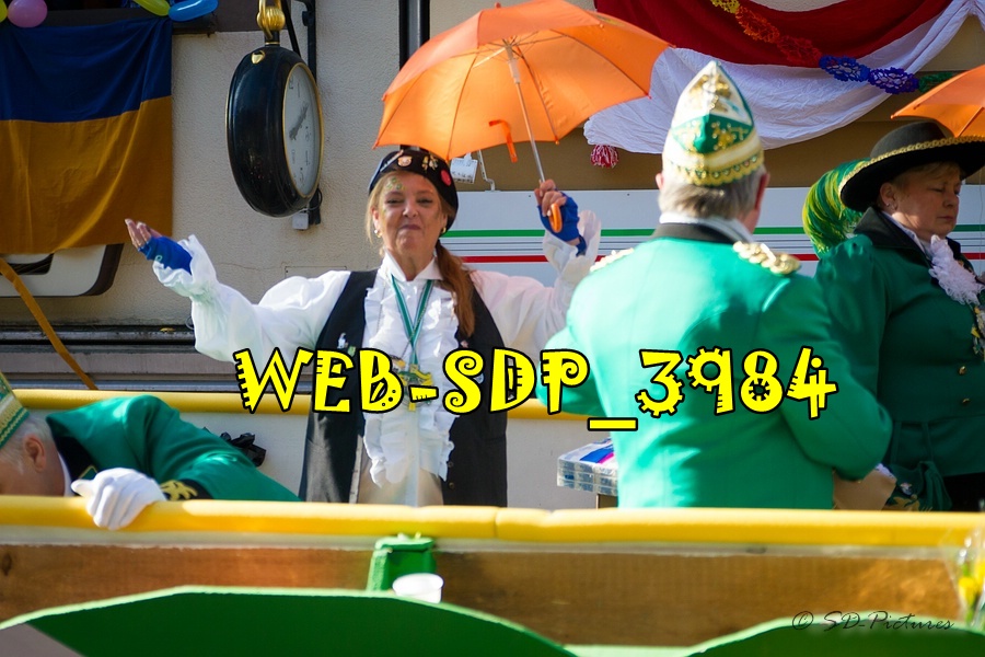 WEB SDP 3984