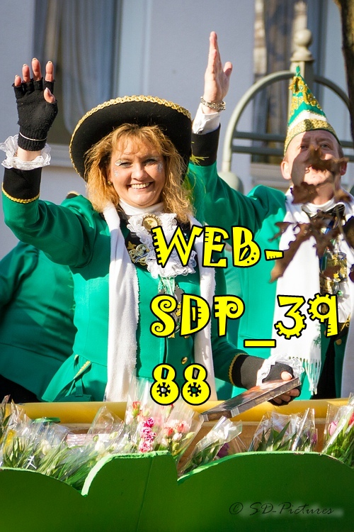 WEB SDP 3988