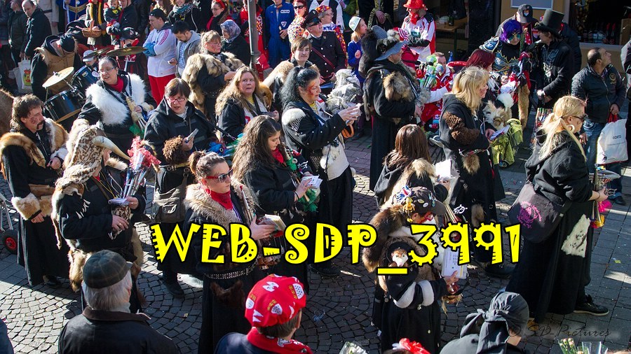 WEB SDP 3991