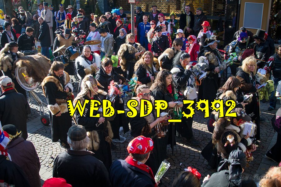 WEB SDP 3992