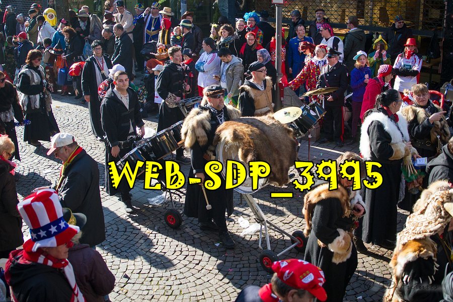 WEB SDP 3995