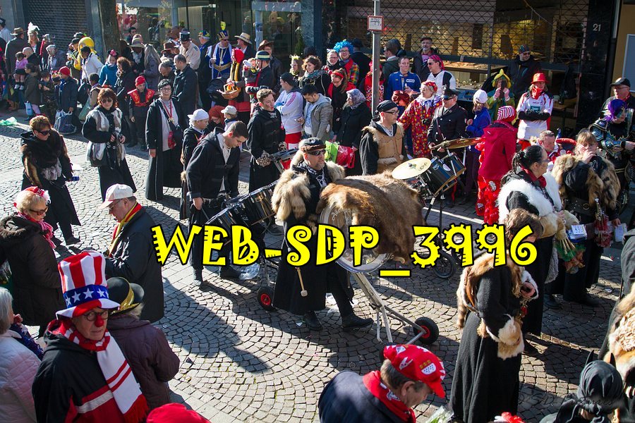 WEB SDP 3996