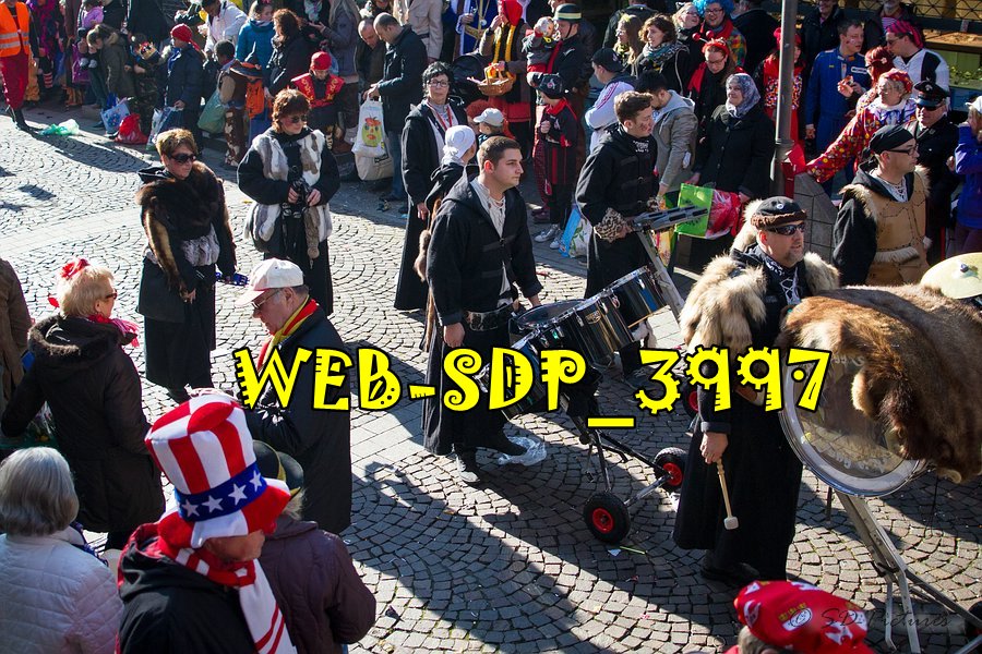 WEB SDP 3997