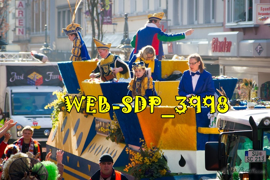 WEB SDP 3998