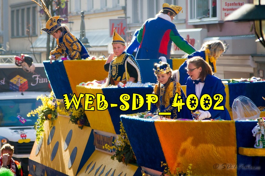 WEB SDP 4002