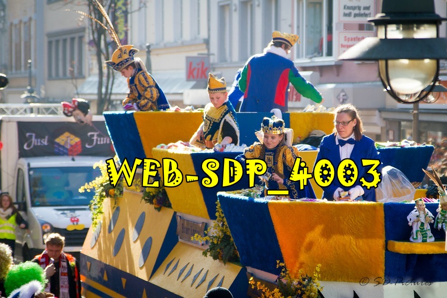 WEB SDP 4003