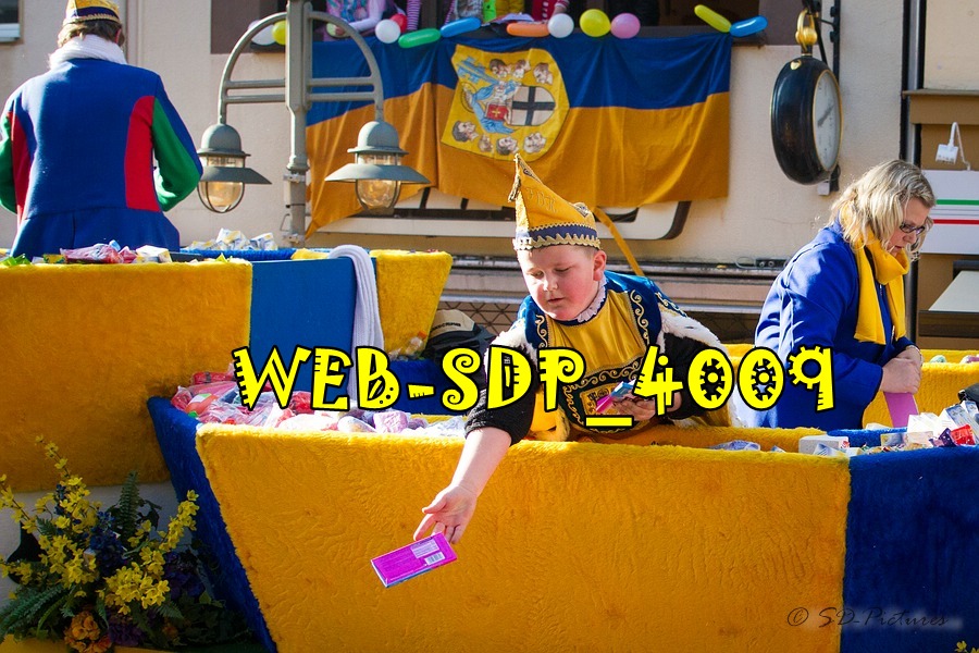 WEB SDP 4009