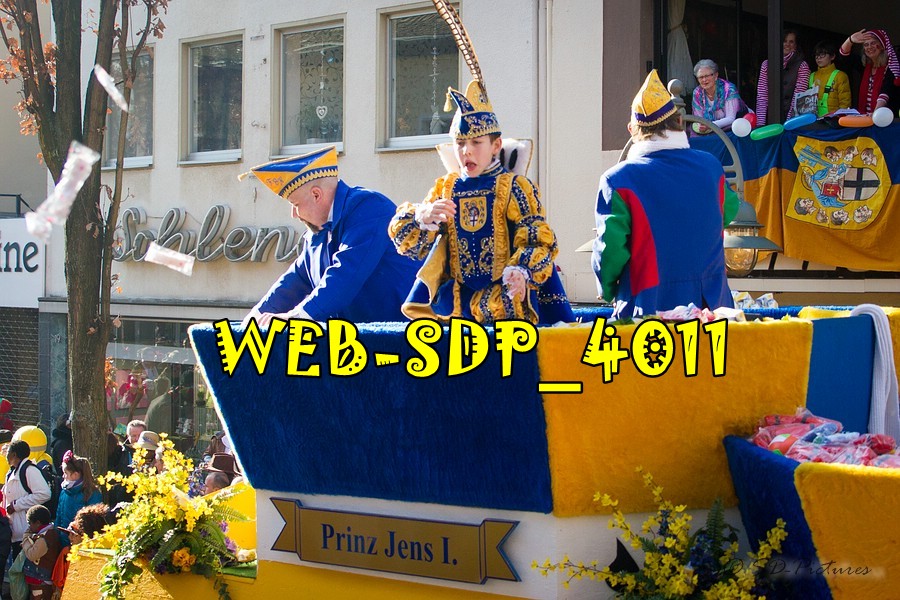 WEB SDP 4011