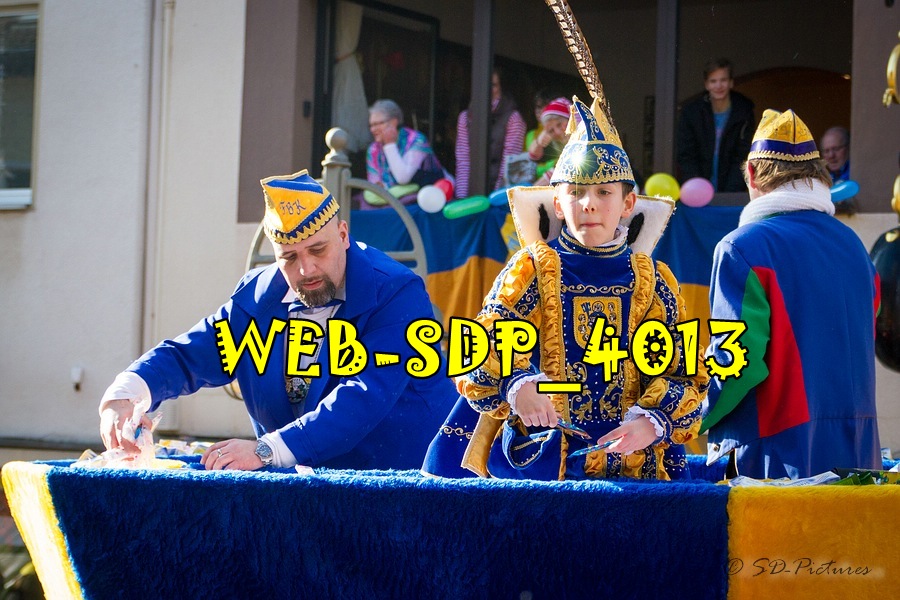 WEB SDP 4013