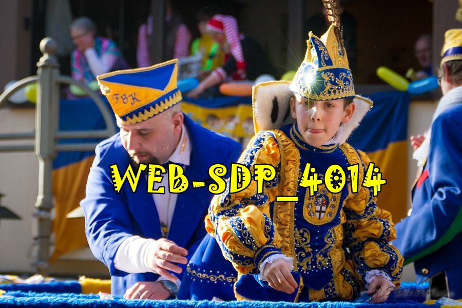 WEB SDP 4014