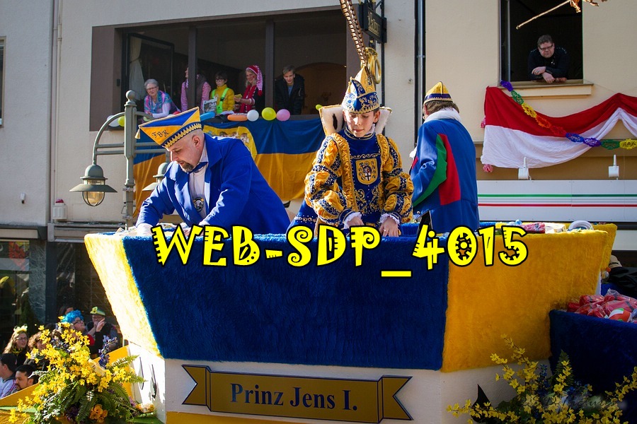 WEB SDP 4015
