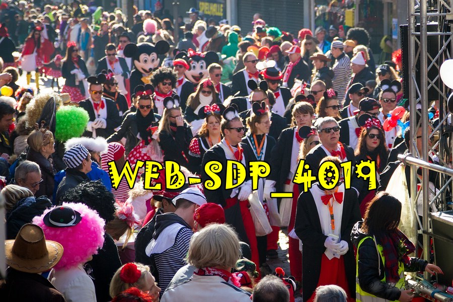 WEB SDP 4019