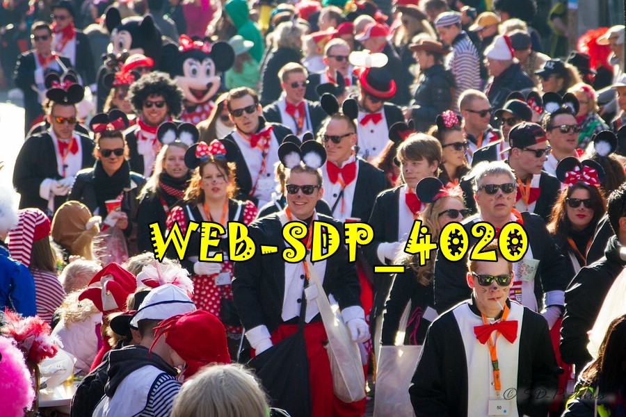WEB SDP 4020