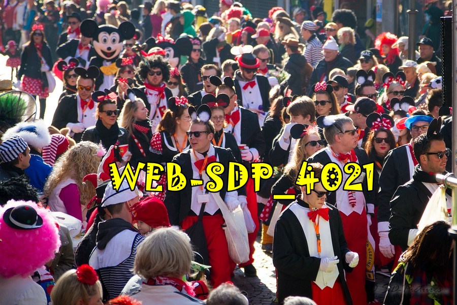 WEB SDP 4021