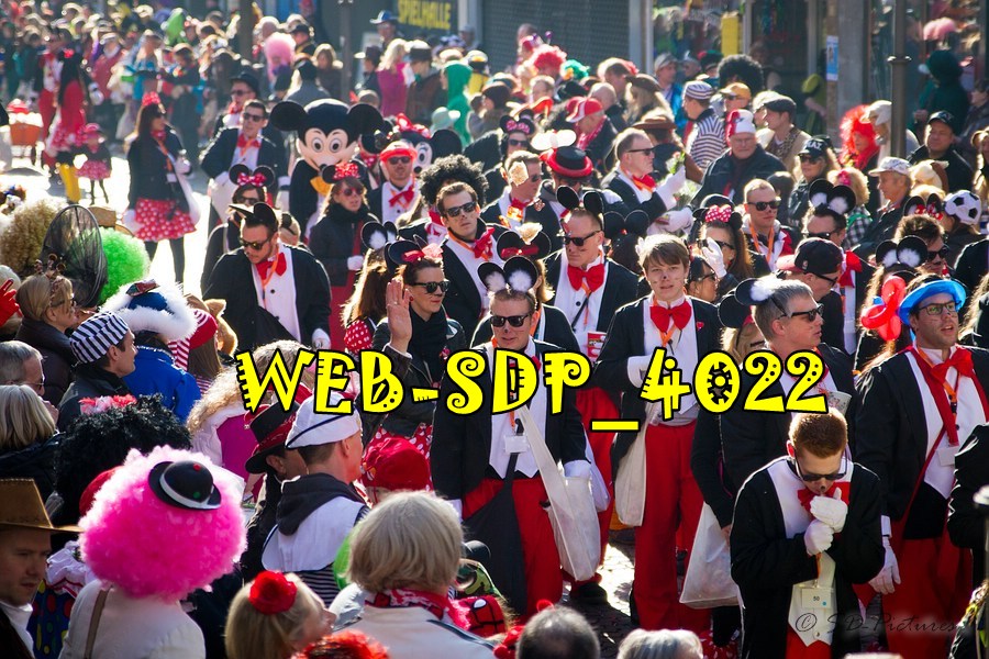 WEB SDP 4022