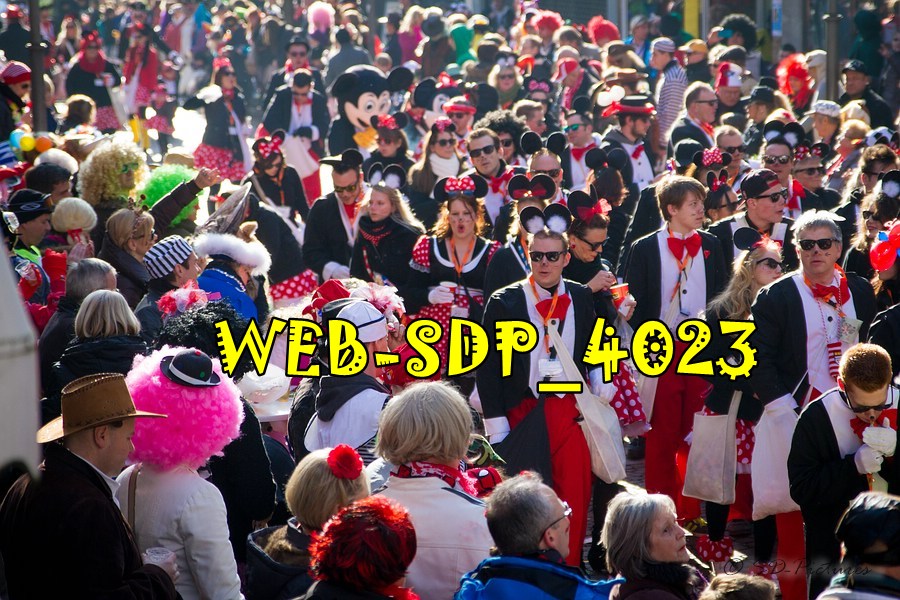 WEB SDP 4023