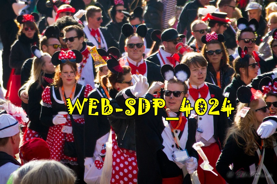 WEB SDP 4024