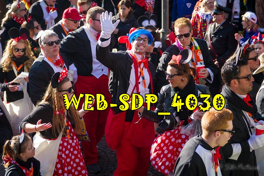 WEB SDP 4030