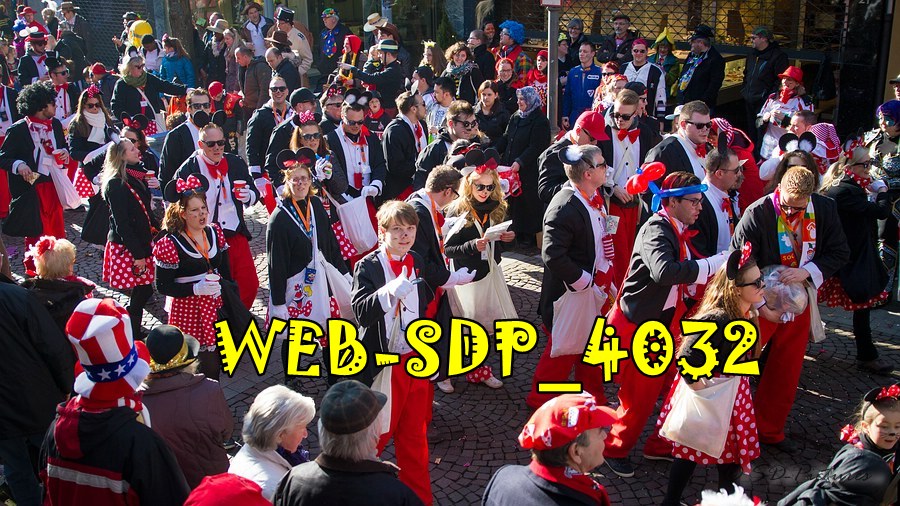 WEB SDP 4032