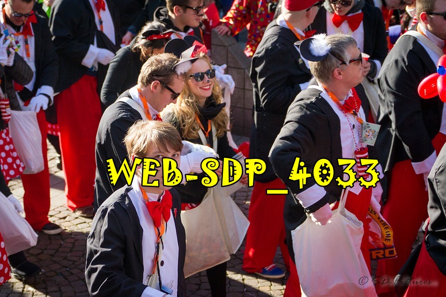 WEB SDP 4033