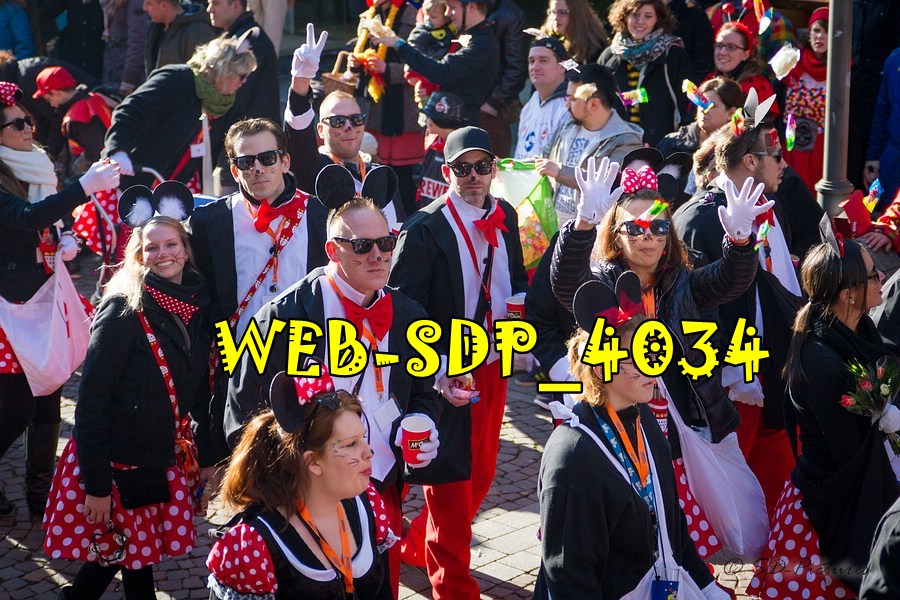 WEB SDP 4034