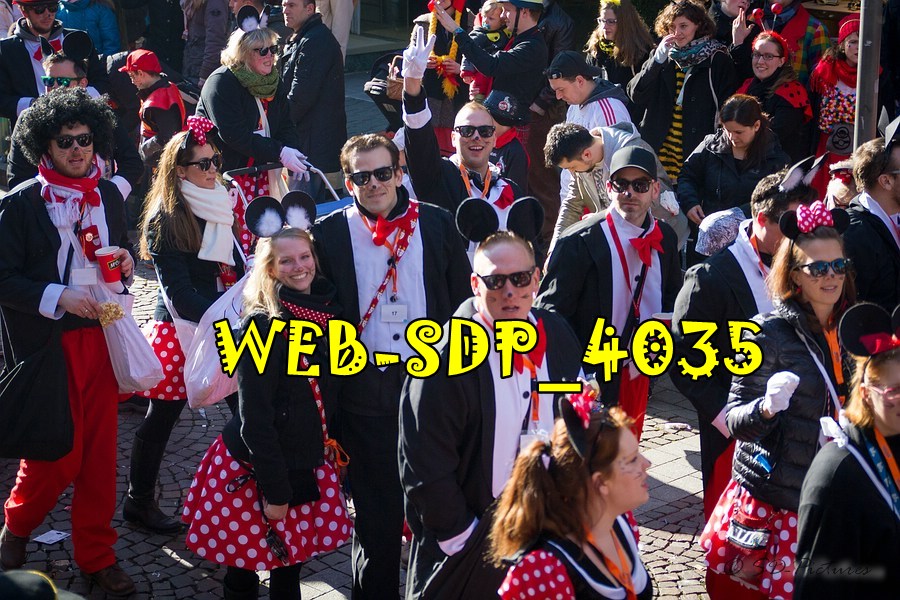 WEB SDP 4035