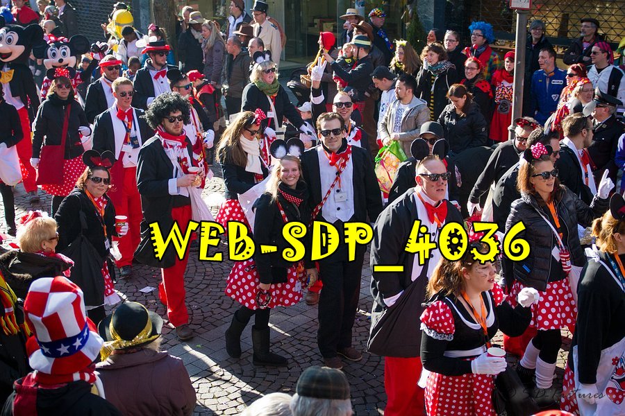 WEB SDP 4036