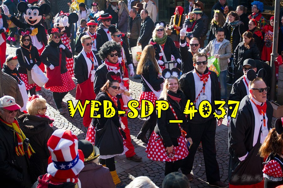 WEB SDP 4037