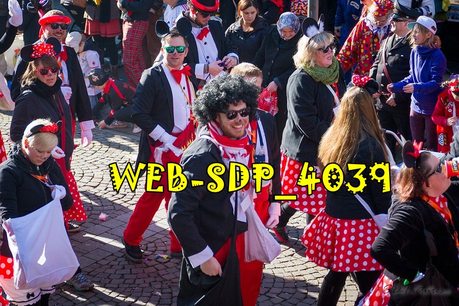 WEB SDP 4039
