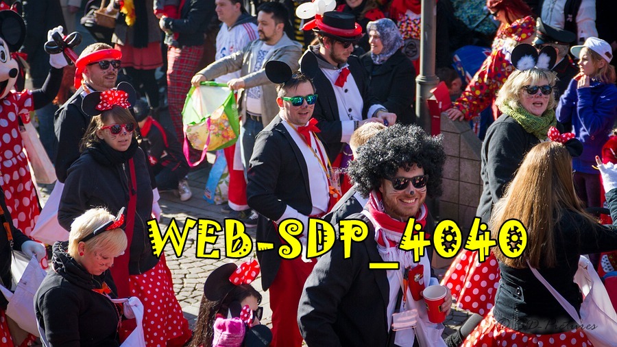 WEB SDP 4040