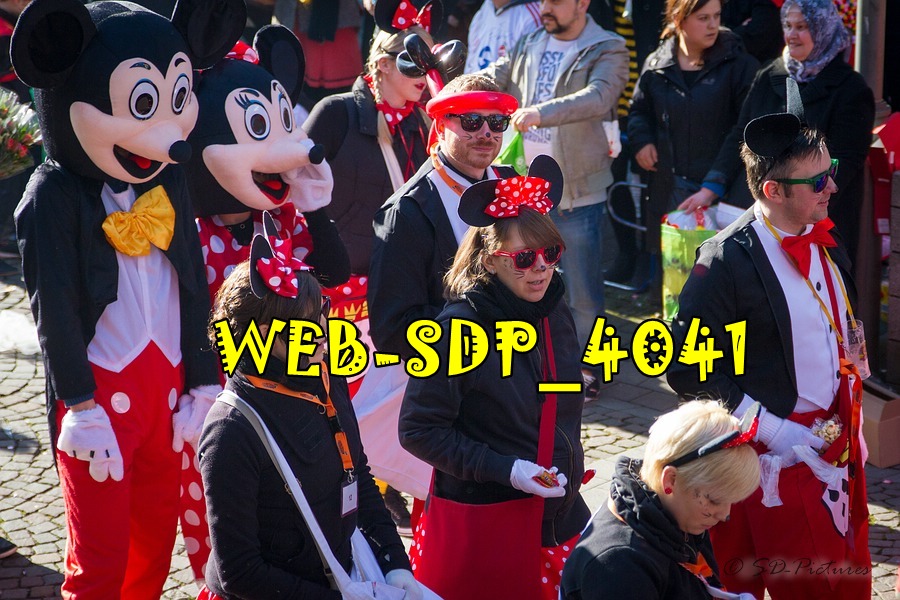 WEB SDP 4041