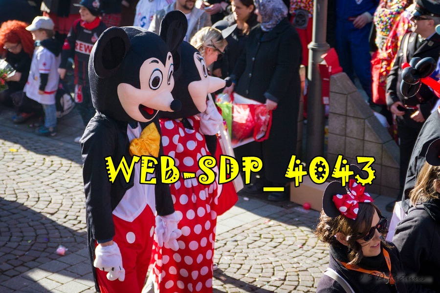 WEB SDP 4043