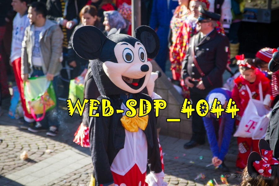 WEB SDP 4044