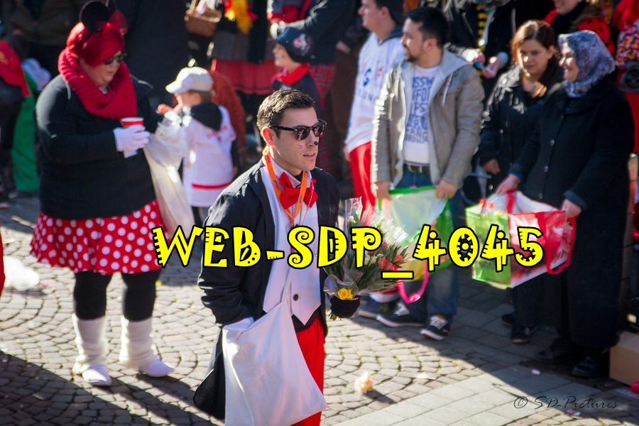 WEB SDP 4045