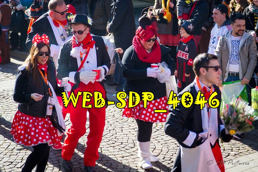 WEB SDP 4046