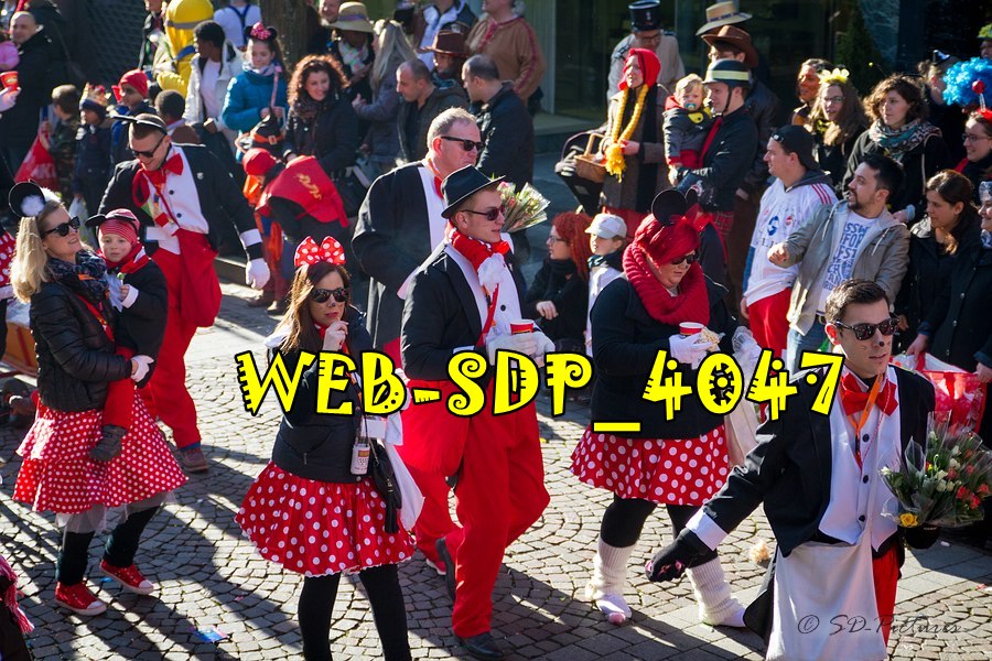 WEB SDP 4047