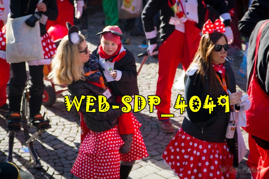 WEB SDP 4049