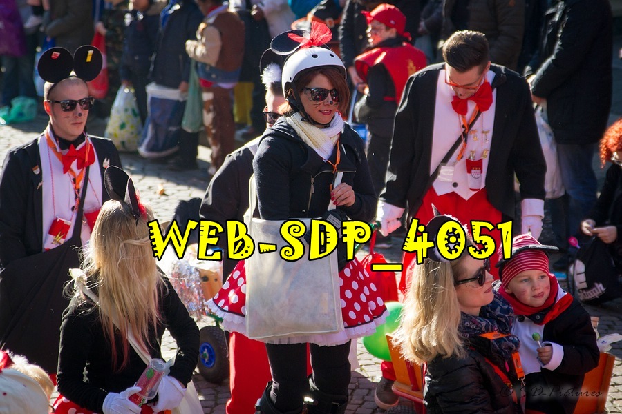 WEB SDP 4051