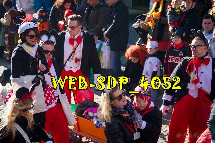 WEB SDP 4052